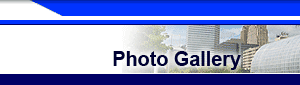Header Image for the photo gallery